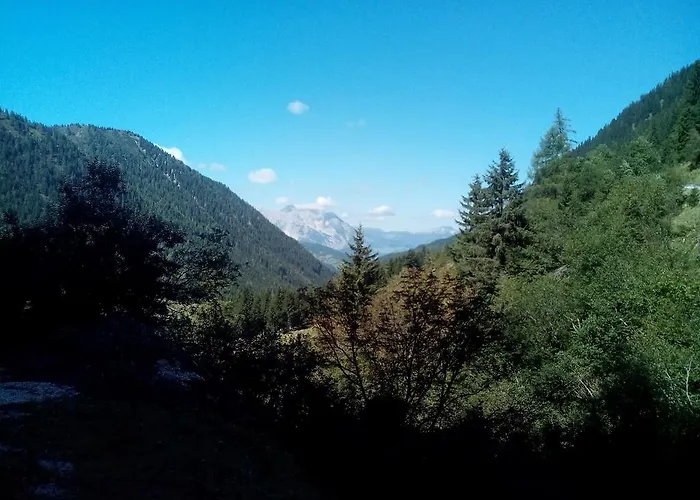 بيت ضيافة Gasthof Murauerhof Sankt Peter am Kammersberg